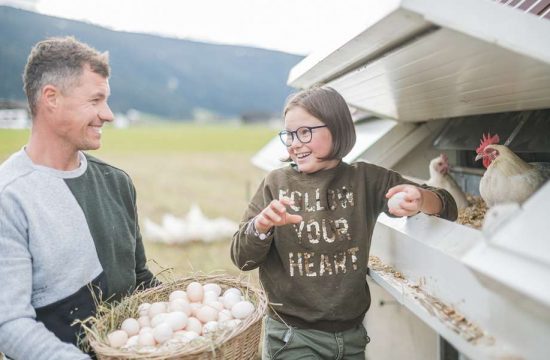 Hintnerhof a Colle / Valle di Casies - Alto Adige