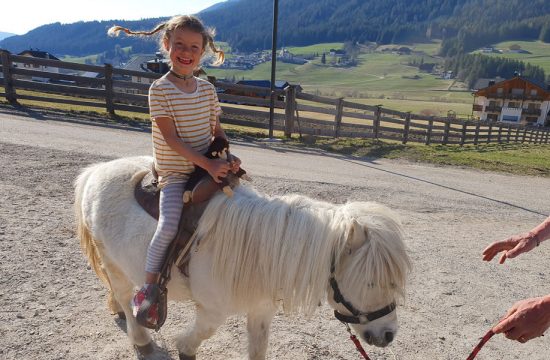 Hintnerhof a Colle / Valle di Casies - Alto Adige