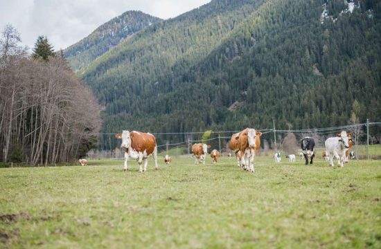 Hintnerhof a Colle / Valle di Casies - Alto Adige